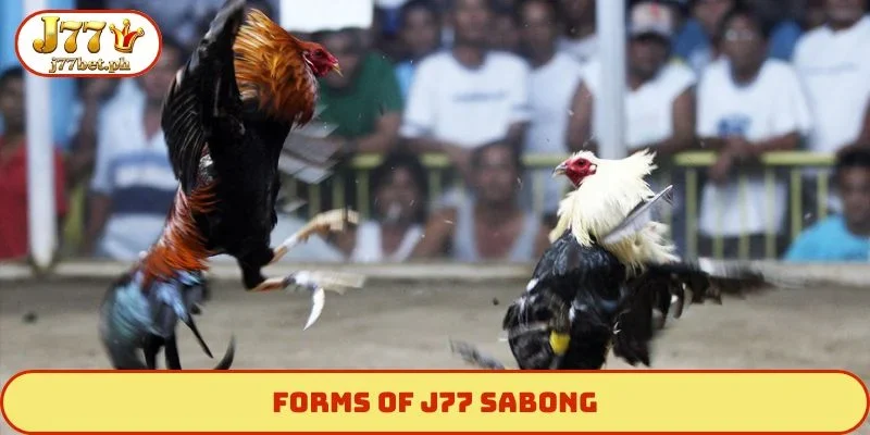 Forms of J77 Sabong