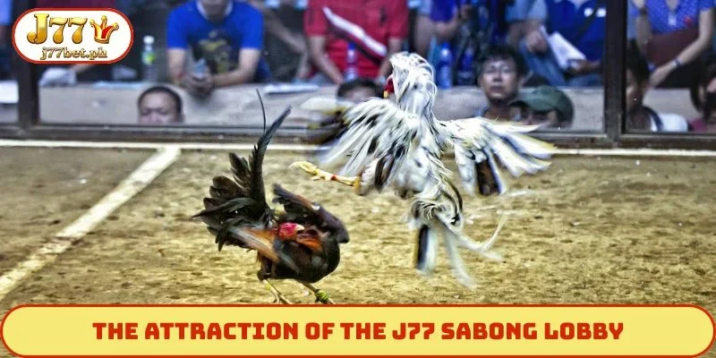 The attraction of the J77 sabong lobby